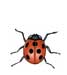 Ladybug