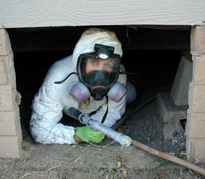 Crawl Space