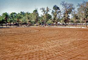 Soil Fumigation