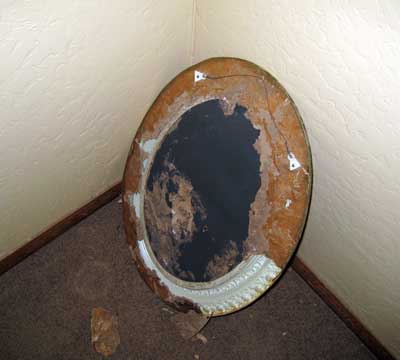Termite Damage Mitagation