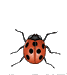 Pests